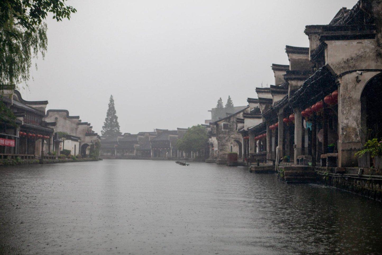 救援淘气的小狗